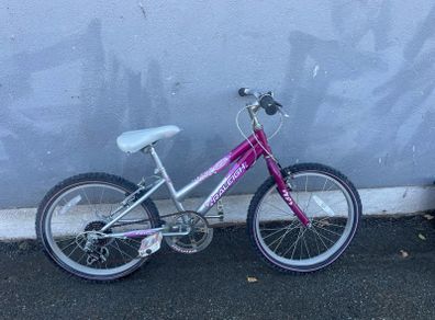 raleigh kids bike