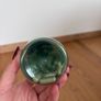 Green Tea Capsules Image 5