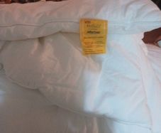 duvet single