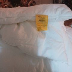 duvet single