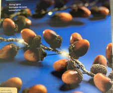New in Box Lumineo 15 LED Hessian String Acorn Lights