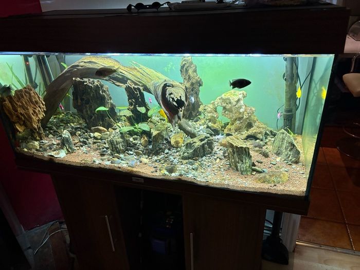 aquarium