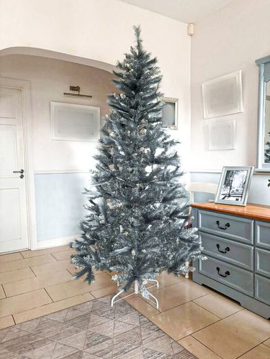 Christmas trees.