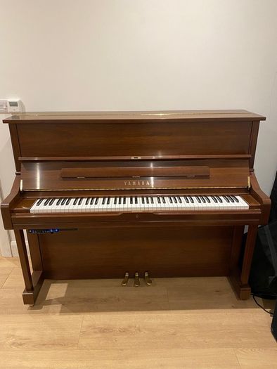 Yamaha U1 Upright (with optional Silent system)
