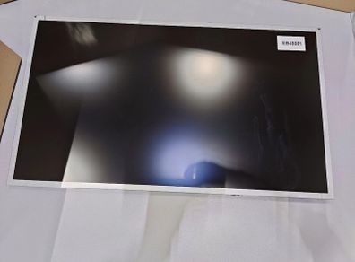 LCD Display AU Optronics M240HVN02.1