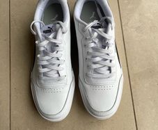 Puma mens shoes