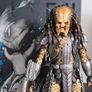 AVP - Predator Scar 2.0 - Hot Toys Image 3