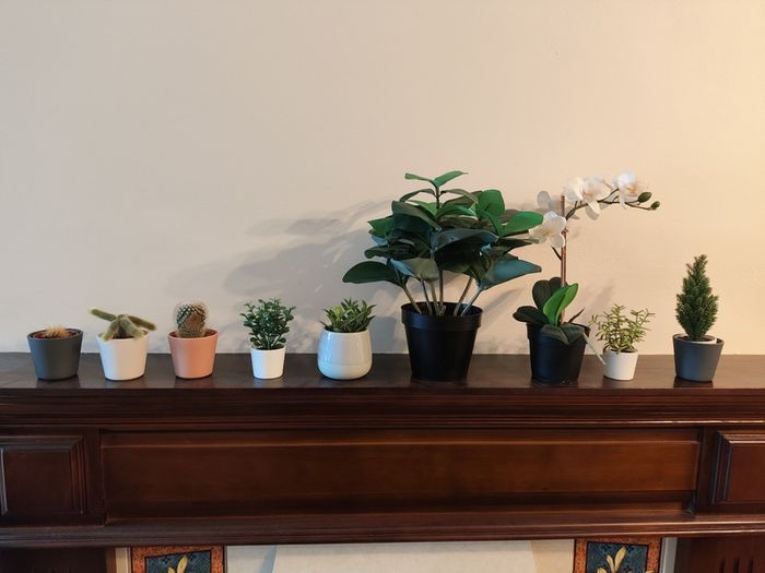 9 fake plants