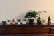 9 fake plants