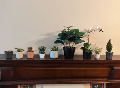 9 fake plants