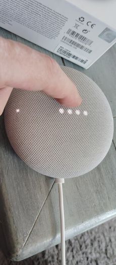 Google Nest Mini Working perfectly