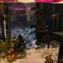fish tank aquarium Image 3