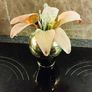 Bud vase Image 5