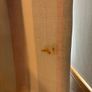 curtains eyelet 90' x 90' Image 2