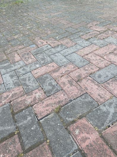 FREE Bricks