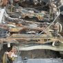 Rear Axle Audi VW Mercedes Peugeot Ford Hyundai Mini & more Image 4