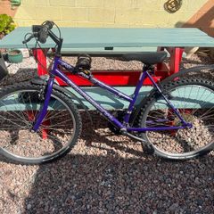 bike size 24