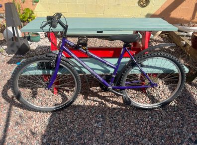 bike size 24