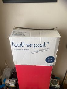 Padded Envelopes (100) D/1