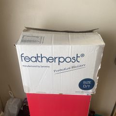 Padded Envelopes (100) D/1