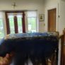 Surfboard Image 4