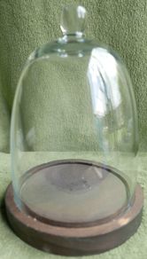 Vintage Glass Dome on Wooden Base