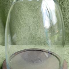 Vintage Glass Dome on Wooden Base