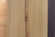 Plant support stick