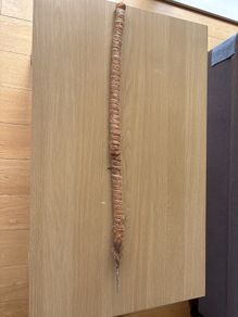 Plant support stick