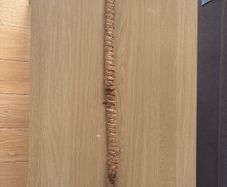 Plant support stick