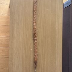 Plant support stick