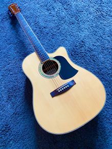 ARIA AW20CE Electro Acoustic + Kinsman Padded gigbag