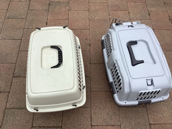 Small Pet Carriers