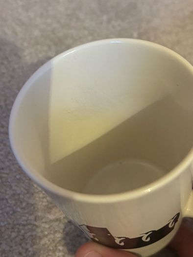 Japanese Porcelain Penguin Mug