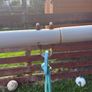 kids swing Image 8