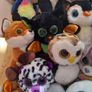 Beanie Boo - selection of 21 loved Beanie Boo some with tags Image 6