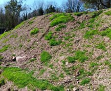 Topsoil