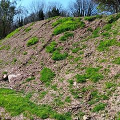 Topsoil