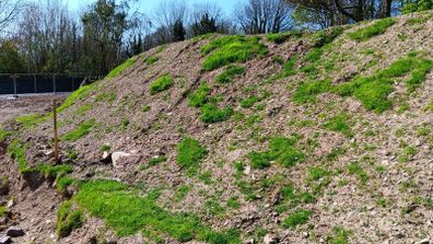 Topsoil