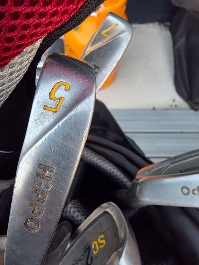 Golf clubs and bags
