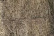 Square bales hay