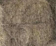 Square bales hay