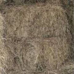 Square bales hay