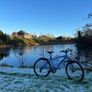 Bike Image 5
