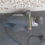 Performance Power Pro electric planer Image 3