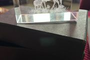 Etched Glass Horse Display/ Paperweight