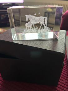 Etched Glass Horse Display/ Paperweight