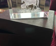 Etched Glass Horse Display/ Paperweight