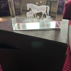 Etched Glass Horse Display/ Paperweight