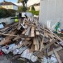 free firewood Image 2